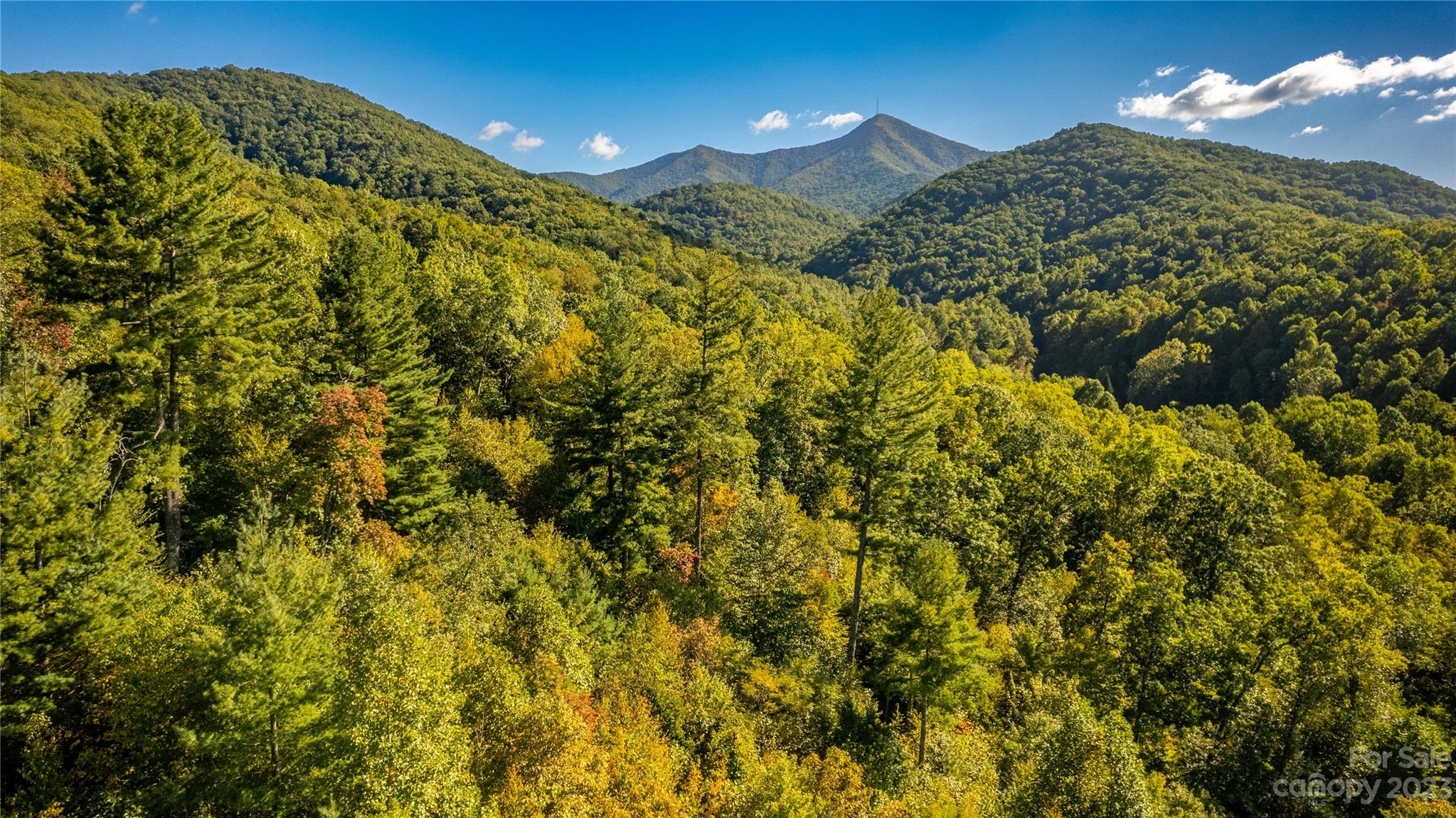 0 Saw Branch Road Candler, NC 28715 - Photo 13 of 18 Gallery Image 13