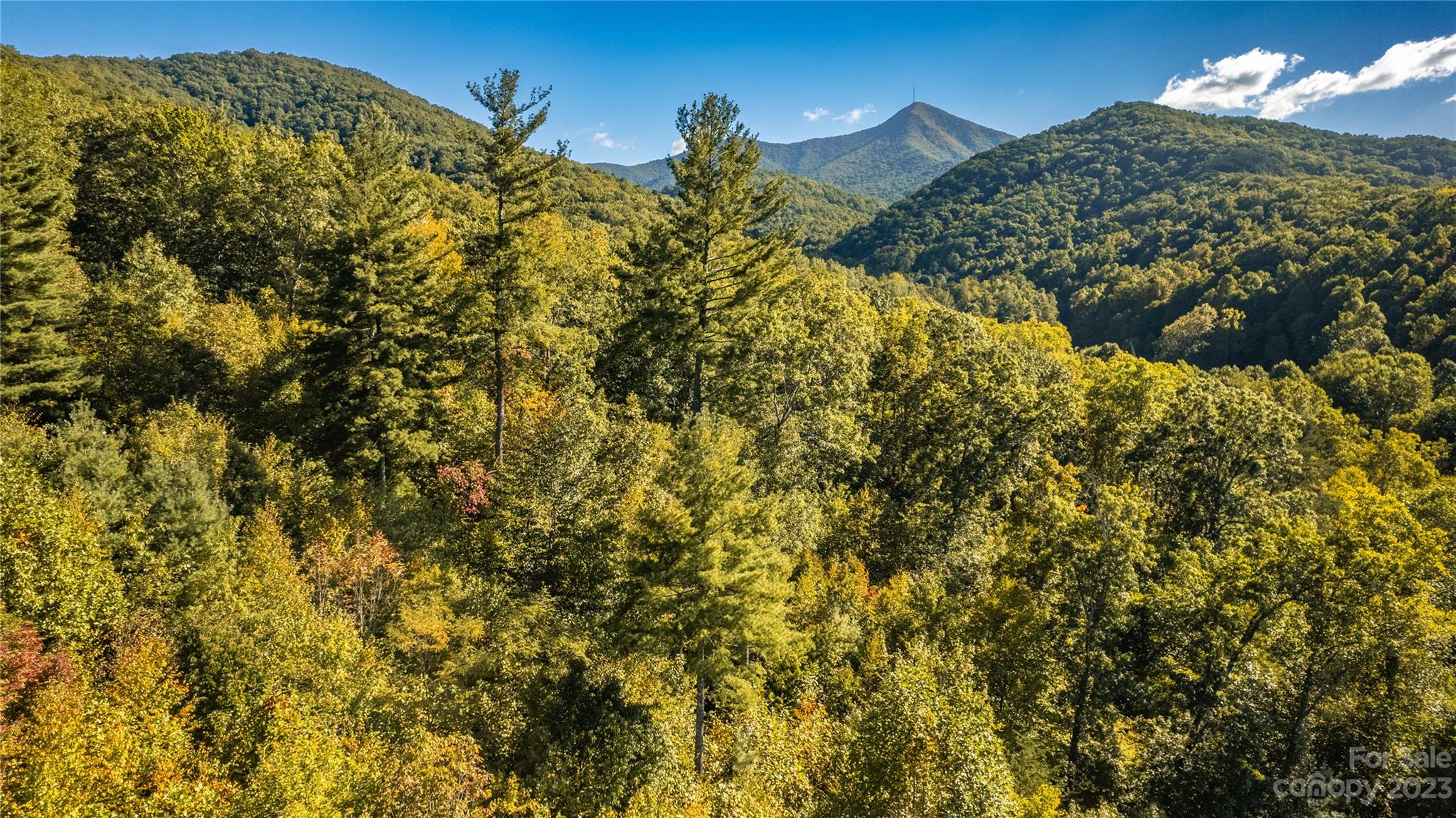 0 Saw Branch Road Candler, NC 28715 - Photo 14 of 18 Gallery Image 14