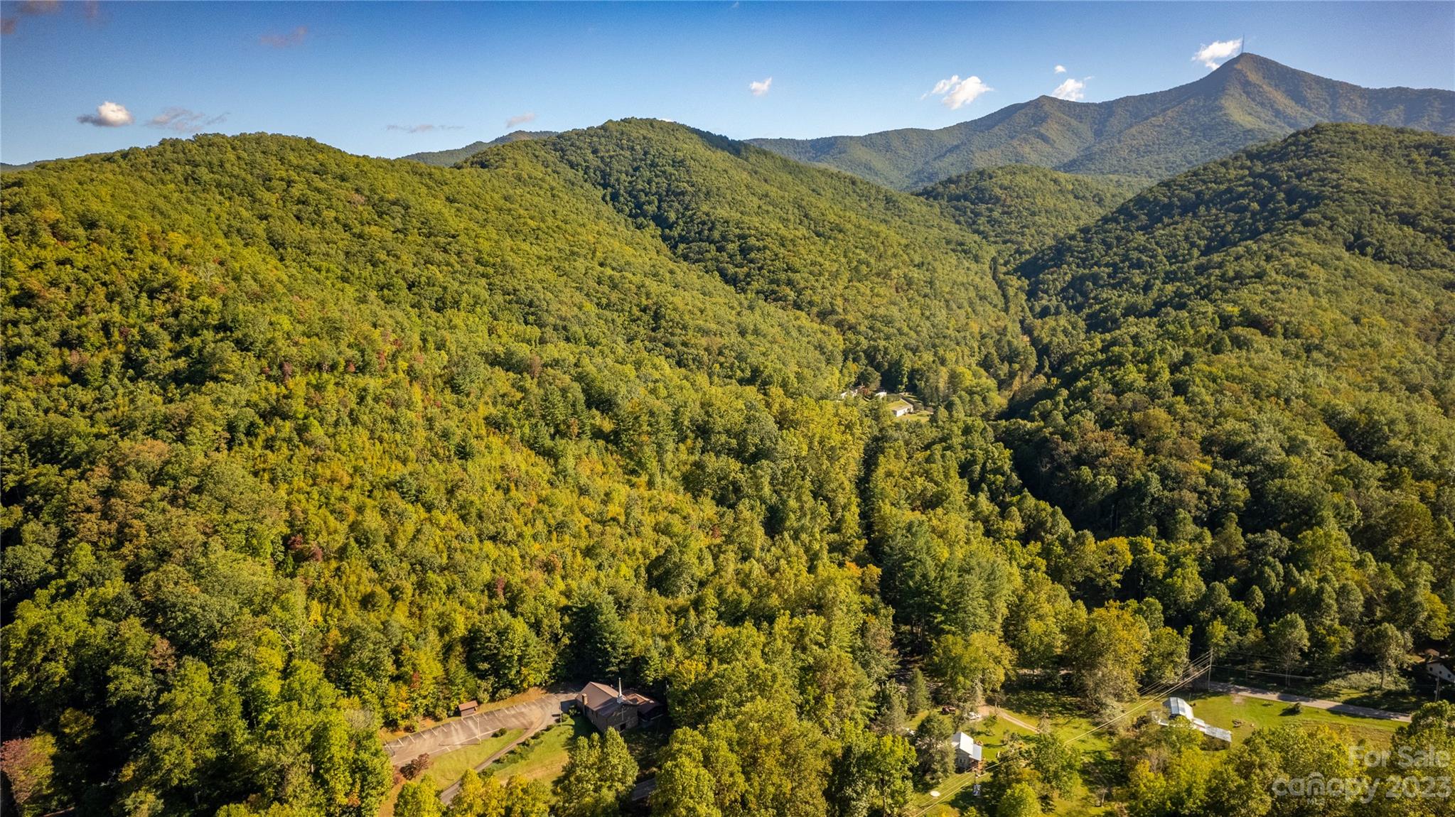 0 Saw Branch Road Candler, NC 28715 - Photo 15 of 18 Gallery Image 15