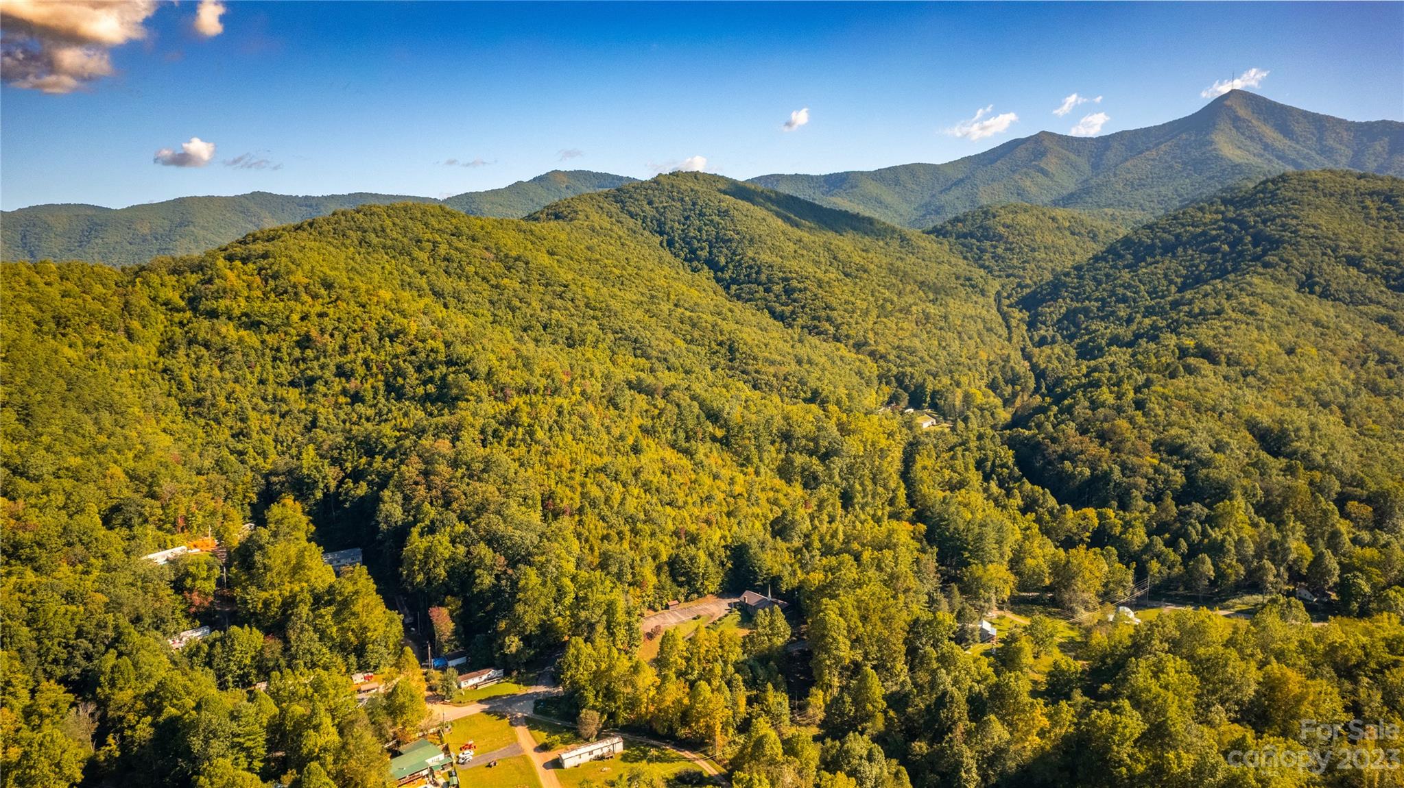 0 Saw Branch Road Candler, NC 28715 - Photo 16 of 18 Gallery Image 16