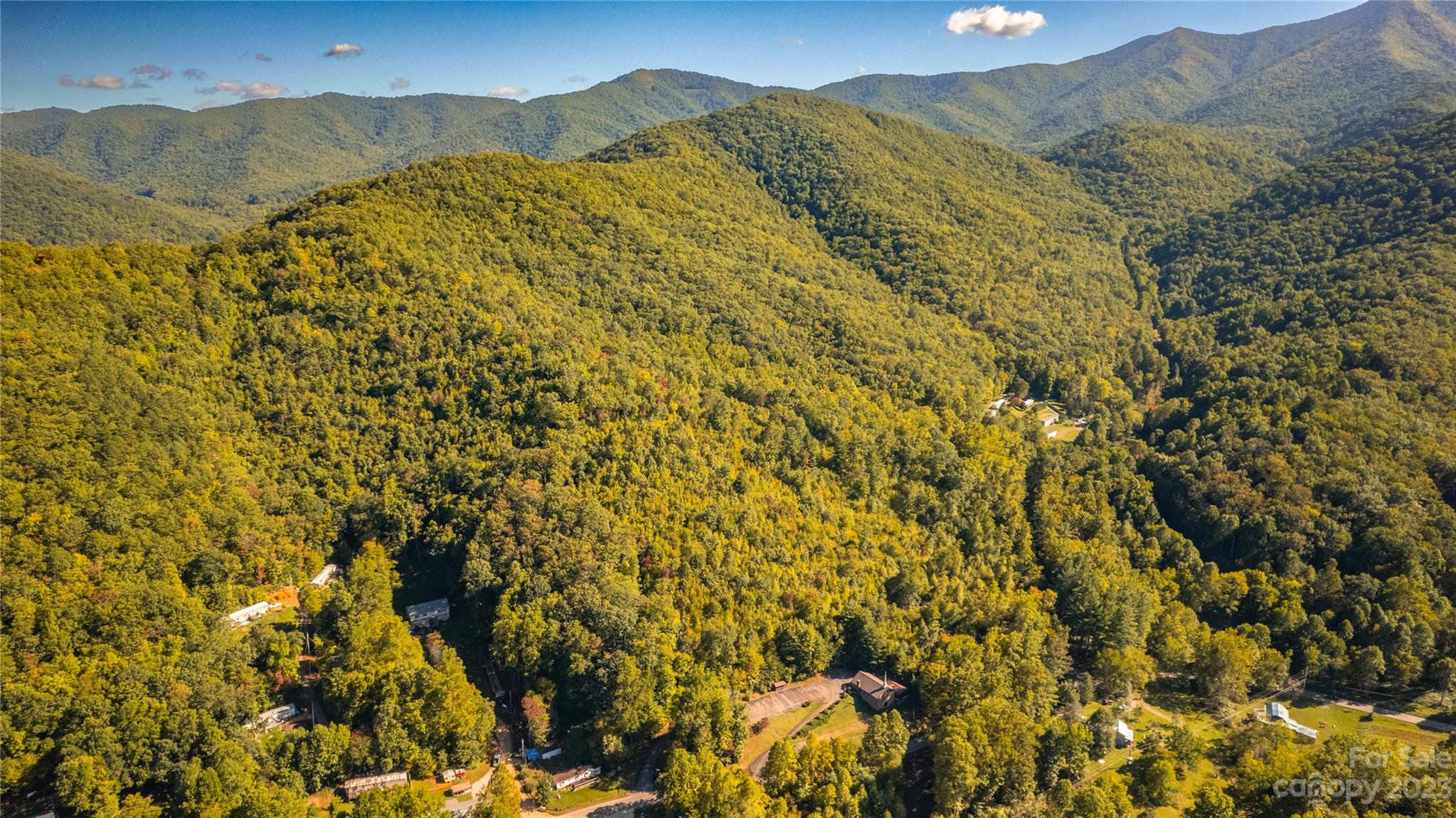 0 Saw Branch Road Candler, NC 28715 - Photo 3 of 18 Gallery Image 3