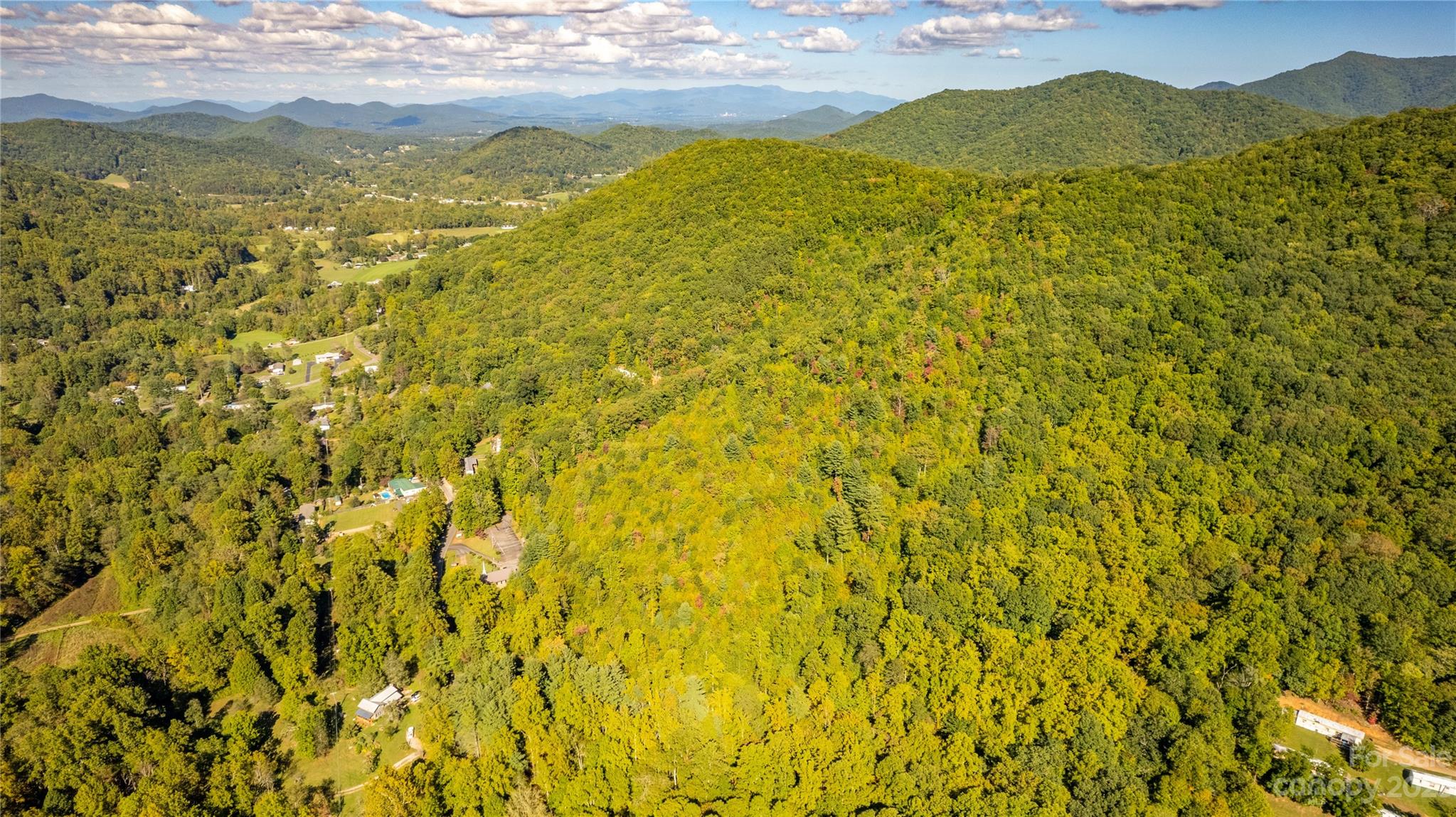 0 Saw Branch Road Candler, NC 28715 - Photo 5 of 18 Gallery Image 5
