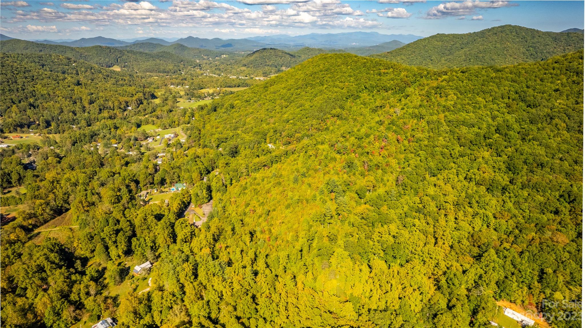 0 Saw Branch Road Candler, NC 28715 - Photo 7 of 18 Gallery Image 7