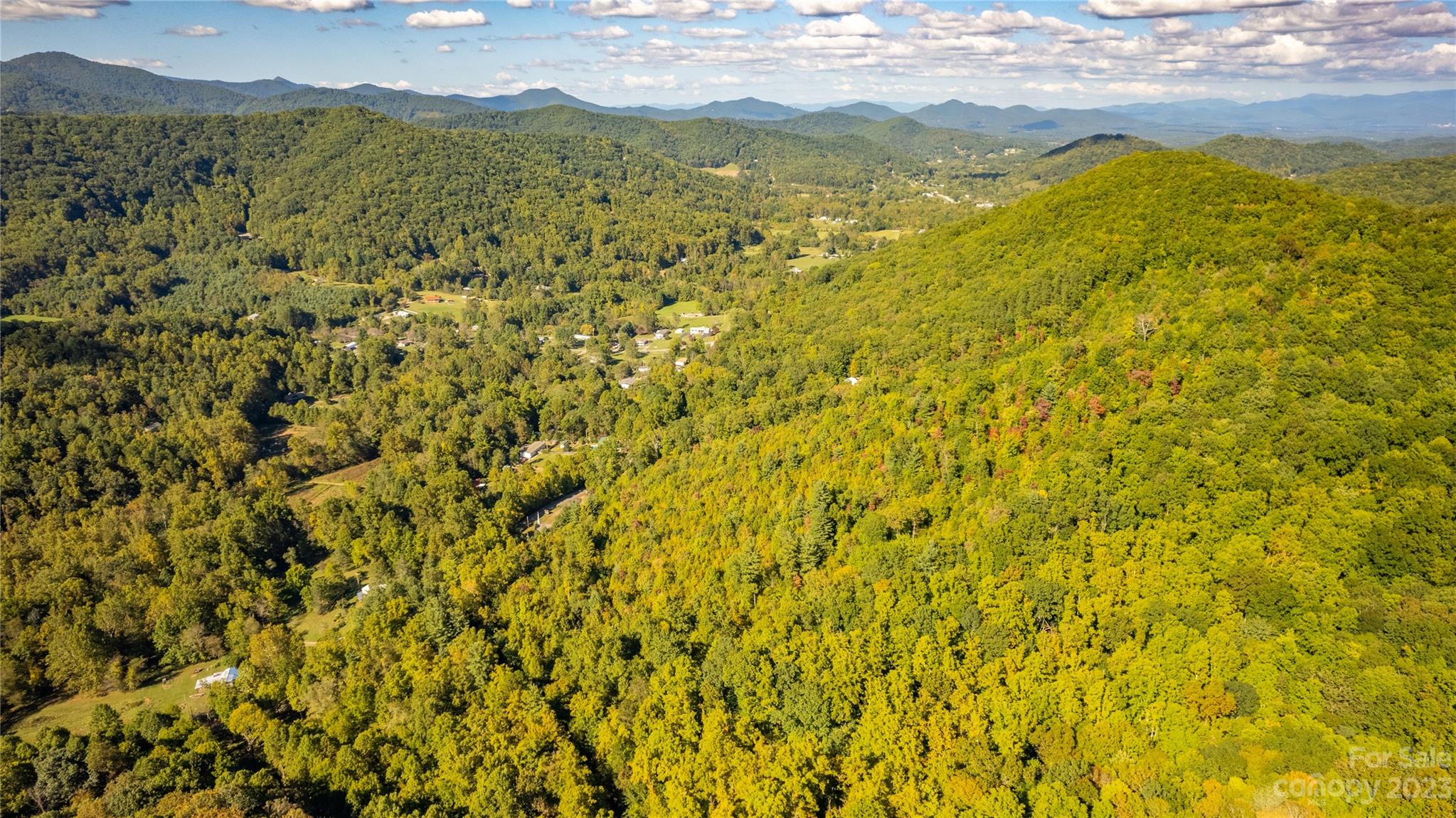 0 Saw Branch Road Candler, NC 28715 - Photo 8 of 18 Gallery Image 8