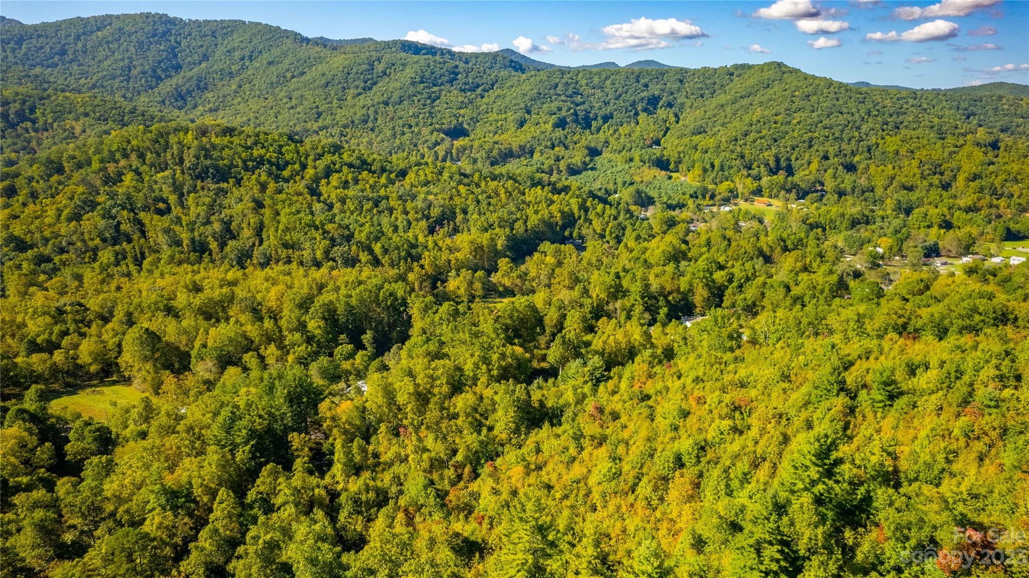 0 Saw Branch Road Candler, NC 28715 - Photo 9 of 18 Gallery Image 9