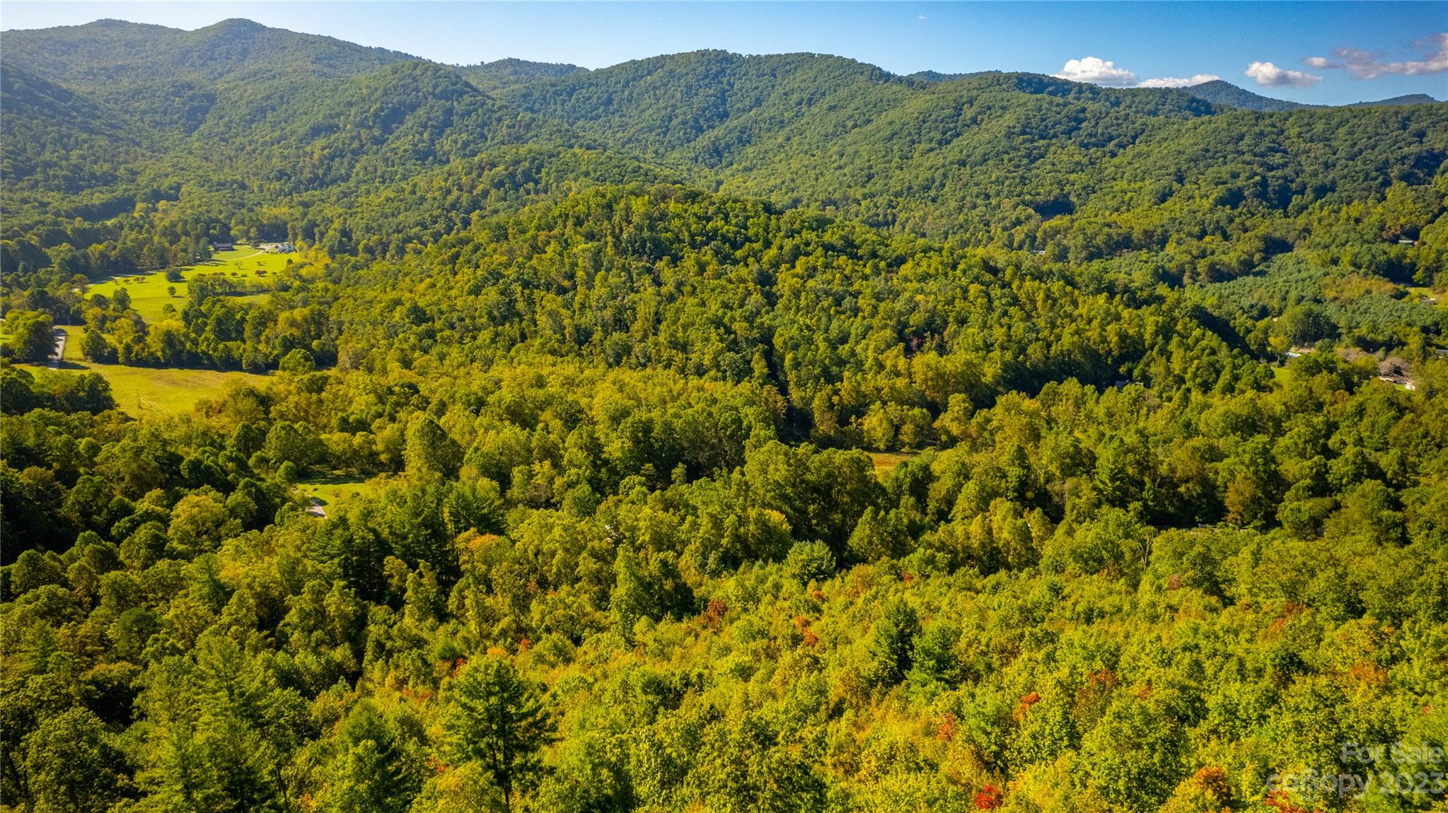 0 Saw Branch Road Candler, NC 28715 - Photo 10 of 18 Gallery Image 10