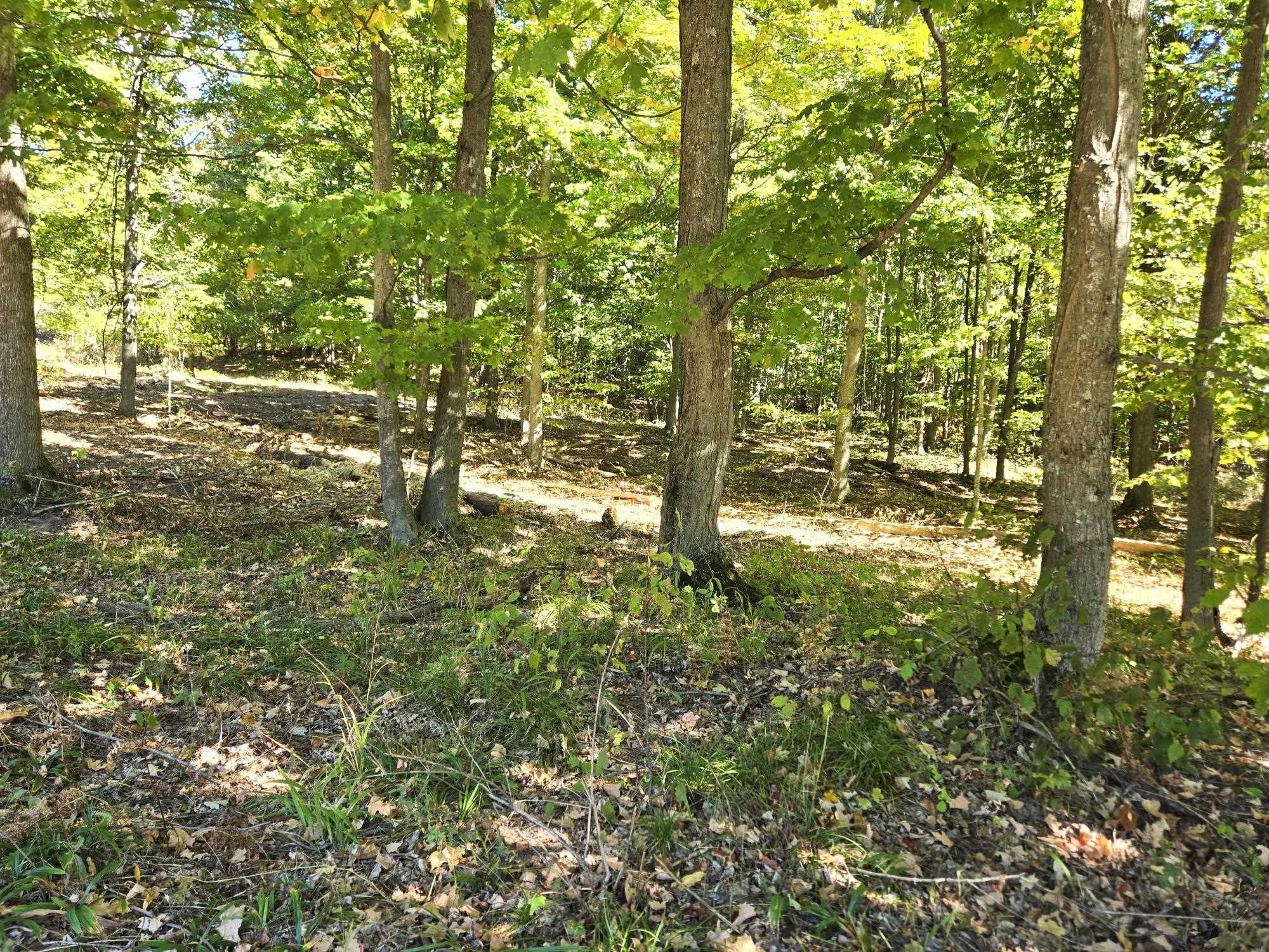 25 Heather Ridge Trail Beulah, MI 49617 - Photo 5 of 11