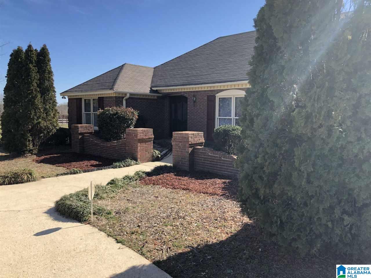 49 County Road 843 Clanton, AL 35045 - Photo 3 of 37