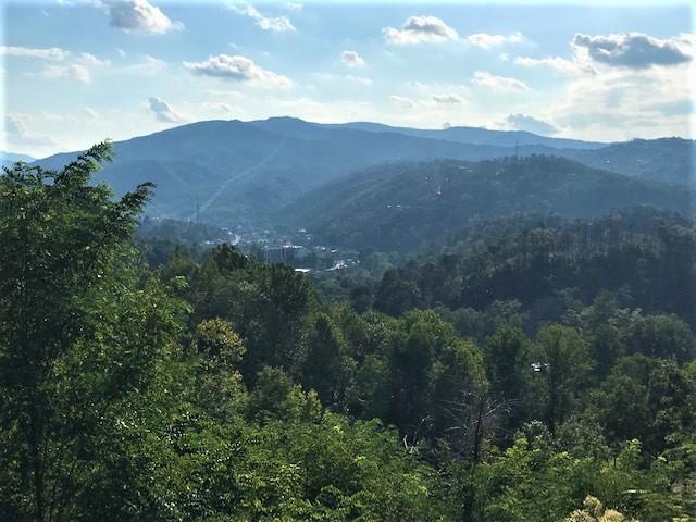 321 Tower Road Gatlinburg, TN 37738 - Photo 1 of 4 Tower Cover