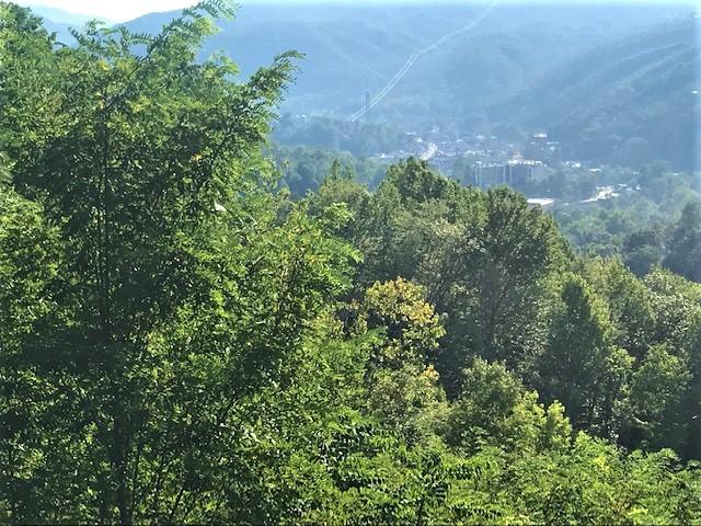 321 Tower Road Gatlinburg, TN 37738 - Photo 2 of 4 Tower1