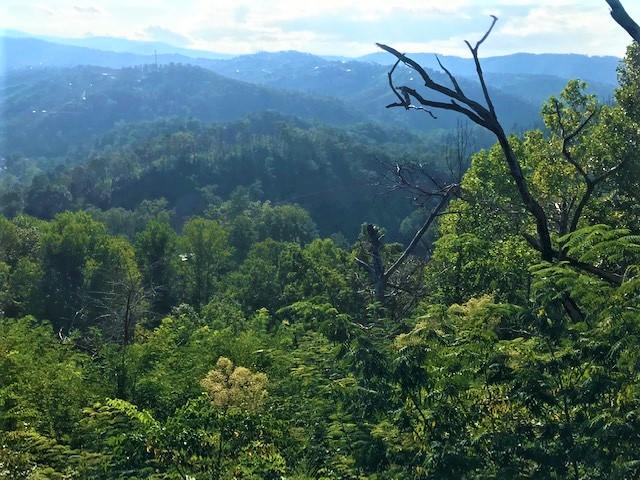 321 Tower Road Gatlinburg, TN 37738 - Photo 3 of 4 Tower2