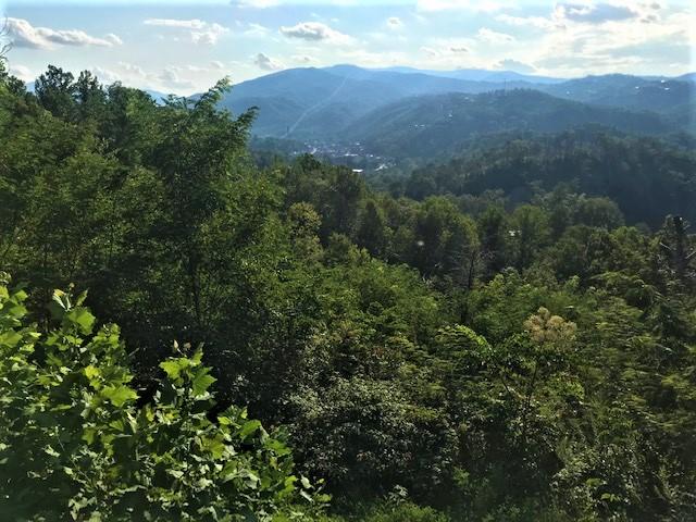 321 Tower Road Gatlinburg, TN 37738 - Photo 4 of 4 Tower5