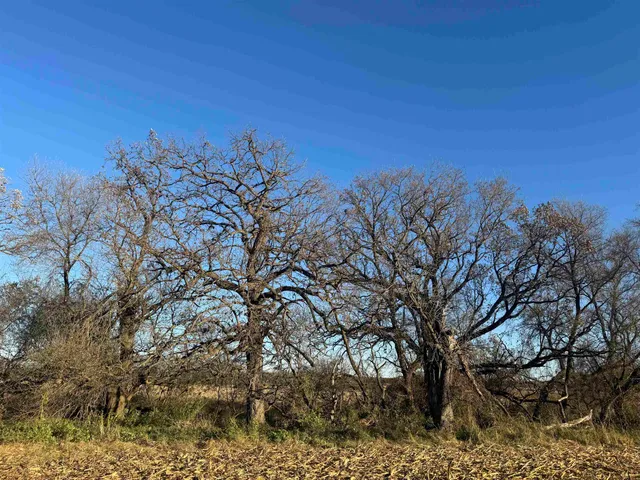 $740,000 | 74 M/l Acres York Centre, Marshall, WI 53559