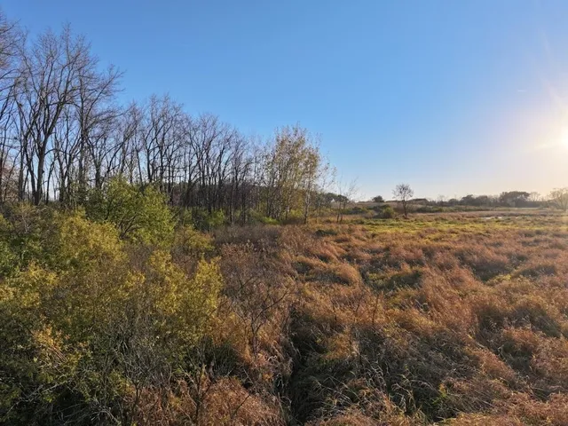 $740,000 | 74 M/l Acres York Centre, Marshall, WI 53559