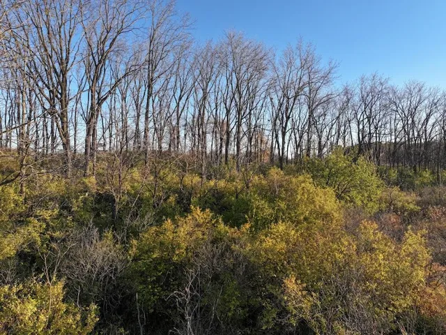 $740,000 | 74 M/l Acres York Centre, Marshall, WI 53559