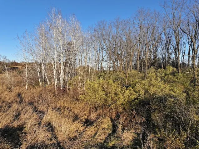 $740,000 | 74 M/l Acres York Centre, Marshall, WI 53559