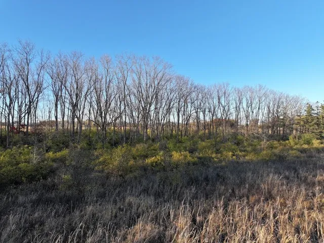 $740,000 | 74 M/l Acres York Centre, Marshall, WI 53559