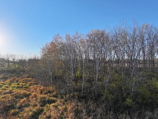 $740,000 | 74 M/l Acres York Centre, Marshall, WI 53559