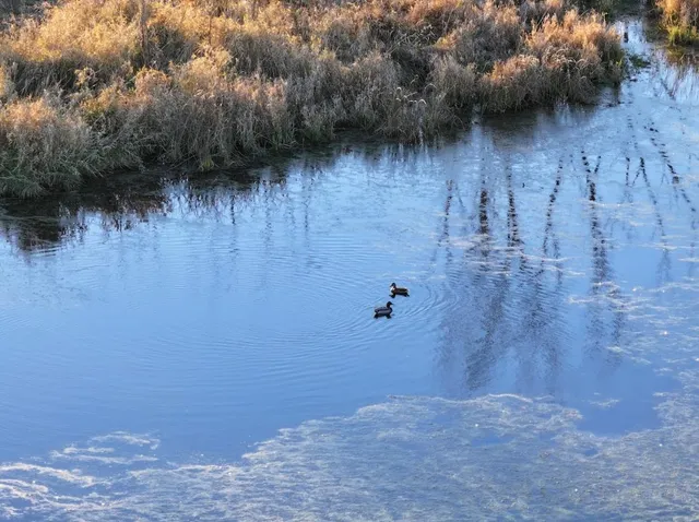 $740,000 | 74 M/l Acres York Centre, Marshall, WI 53559