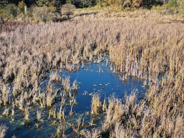 $740,000 | 74 M/l Acres York Centre, Marshall, WI 53559