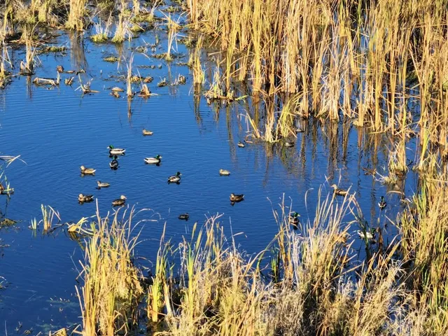 $740,000 | 74 M/l Acres York Centre, Marshall, WI 53559