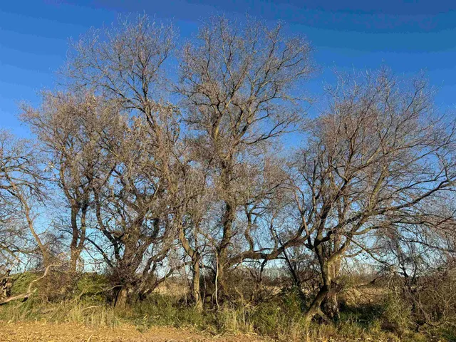 $740,000 | 74 M/l Acres York Centre, Marshall, WI 53559