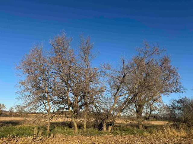 $740,000 | 74 M/l Acres York Centre, Marshall, WI 53559