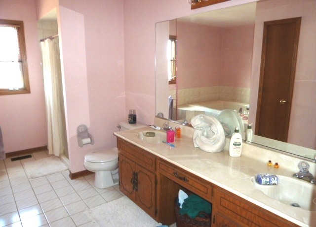 1377 Lilac Lane Addison, IL 60101 - Photo 12 of 21 a bathroom with a sink a toilet and shower