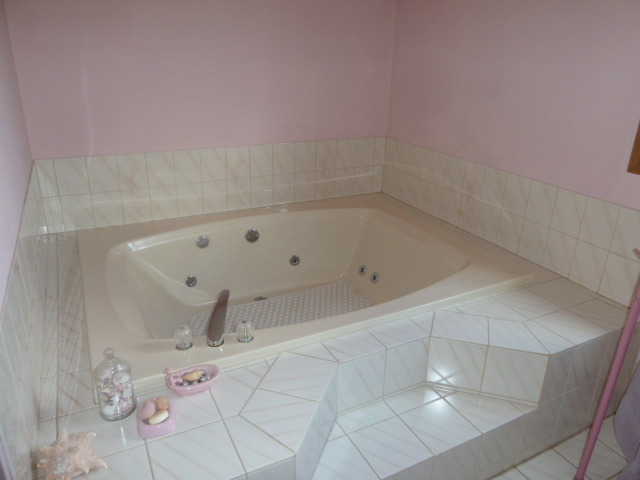 1377 Lilac Lane Addison, IL 60101 - Photo 13 of 21 a bathroom with a bathtub
