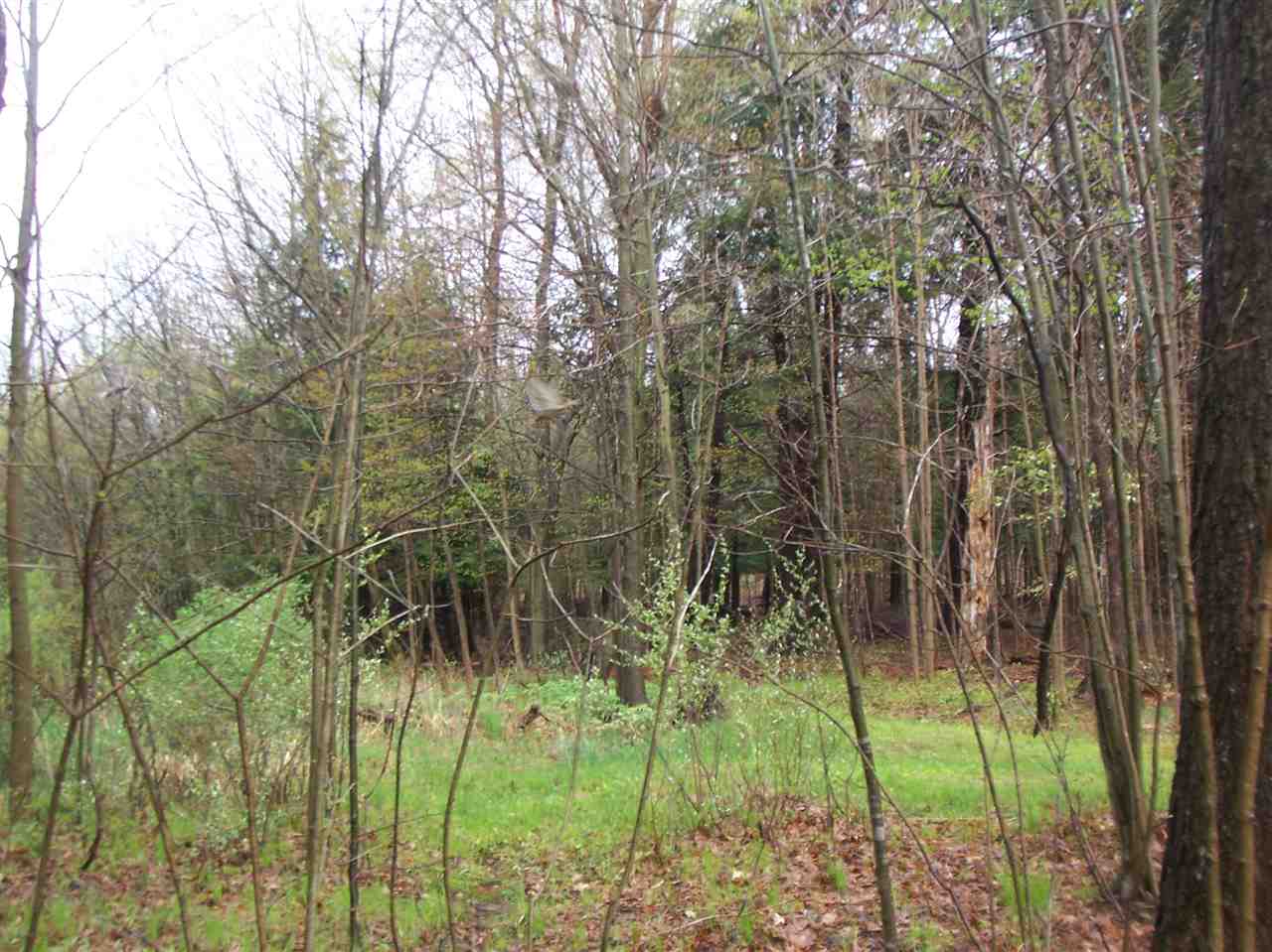 4758 South Rolland Road Blanchard, MI 49310 - Photo 28 of 51 1831625-27.JPG