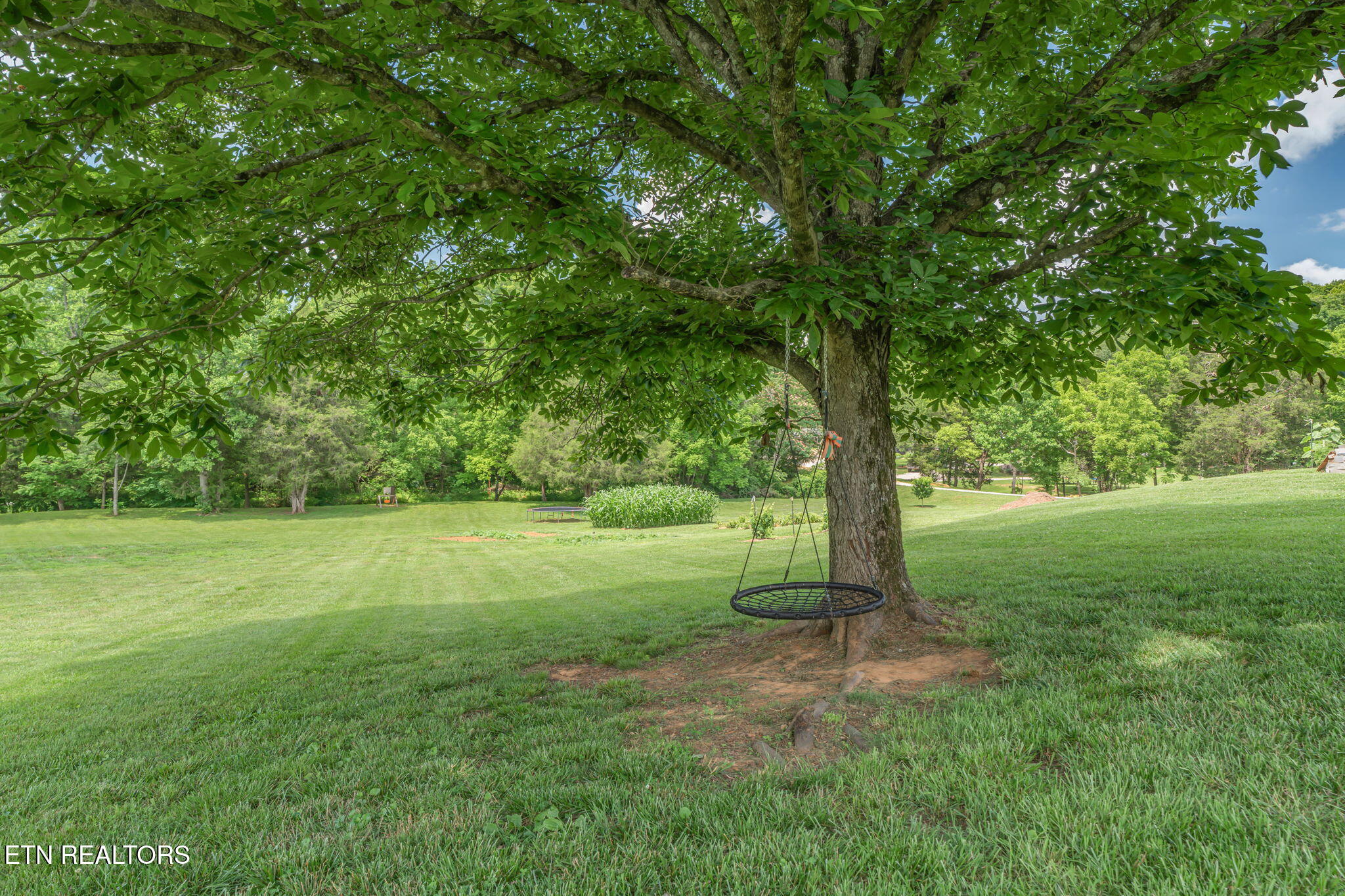 286 JD Farm Road Tellico Plains, TN 37385 - Photo 37 of 58 SWING AND RELAX THE DAY AWAY