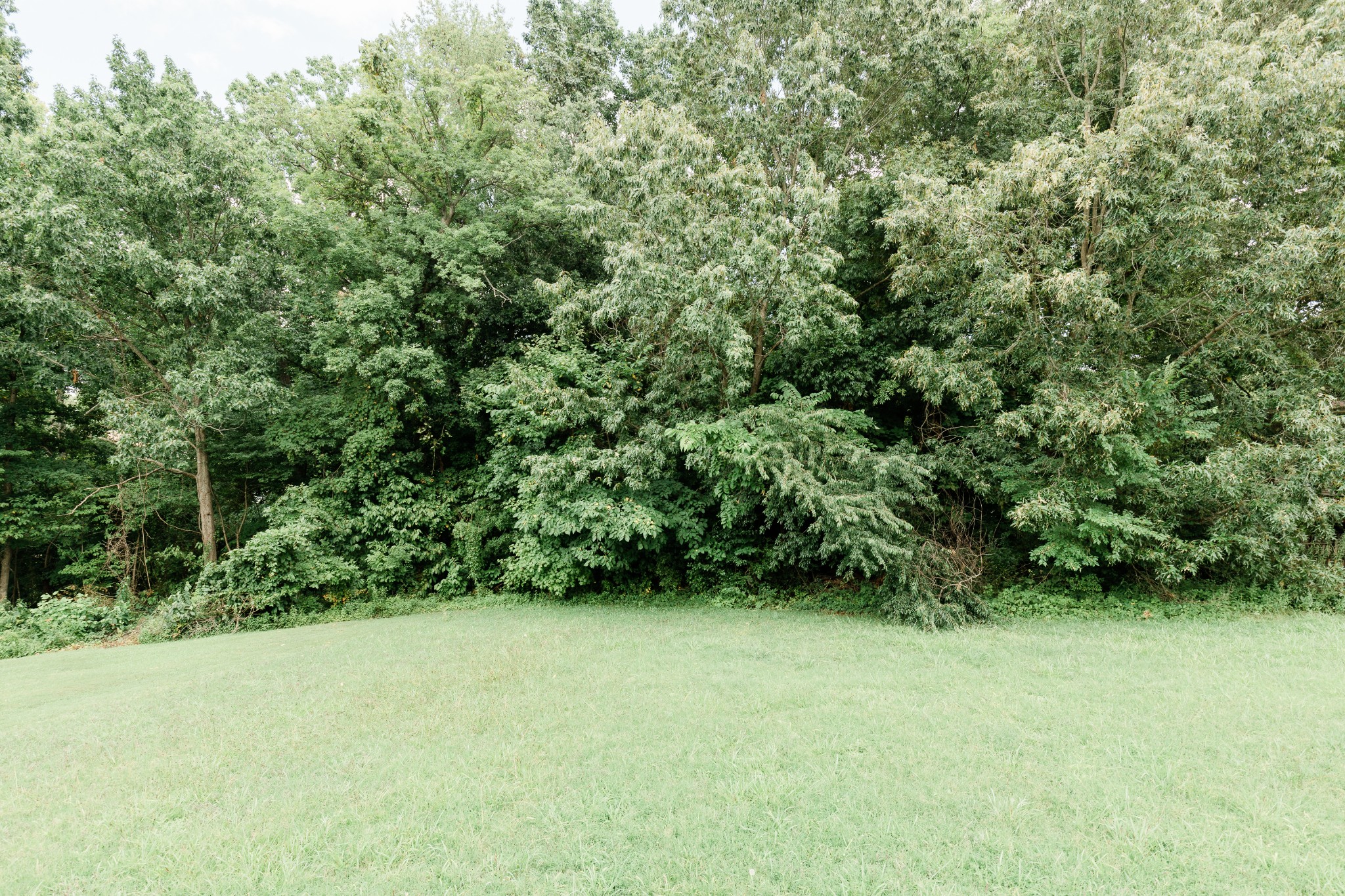 277 Shiloh Road Clarksville, TN 37042 - Photo 25 of 29 Gallery Image 25