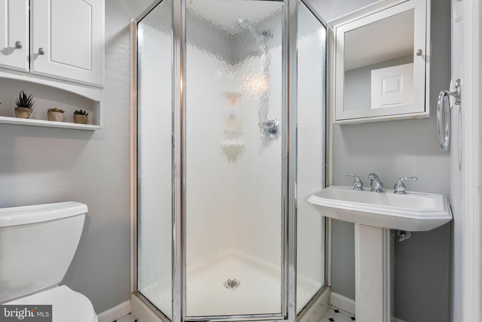 13716 Princess Anne Way Phoenix, MD 21131 - Photo 38 of 54 Lower level full bath
