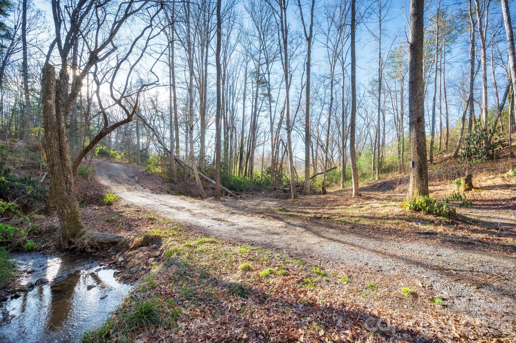 101 Laurel Loop Road Fletcher, NC 28732 - Photo 2 of 23