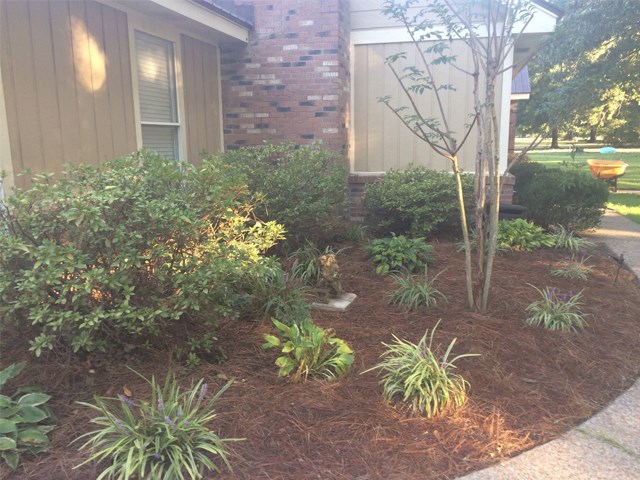 6065 Cedar Grove Road Arlington, TN 38002 - Photo 2 of 25 Gallery Image 2