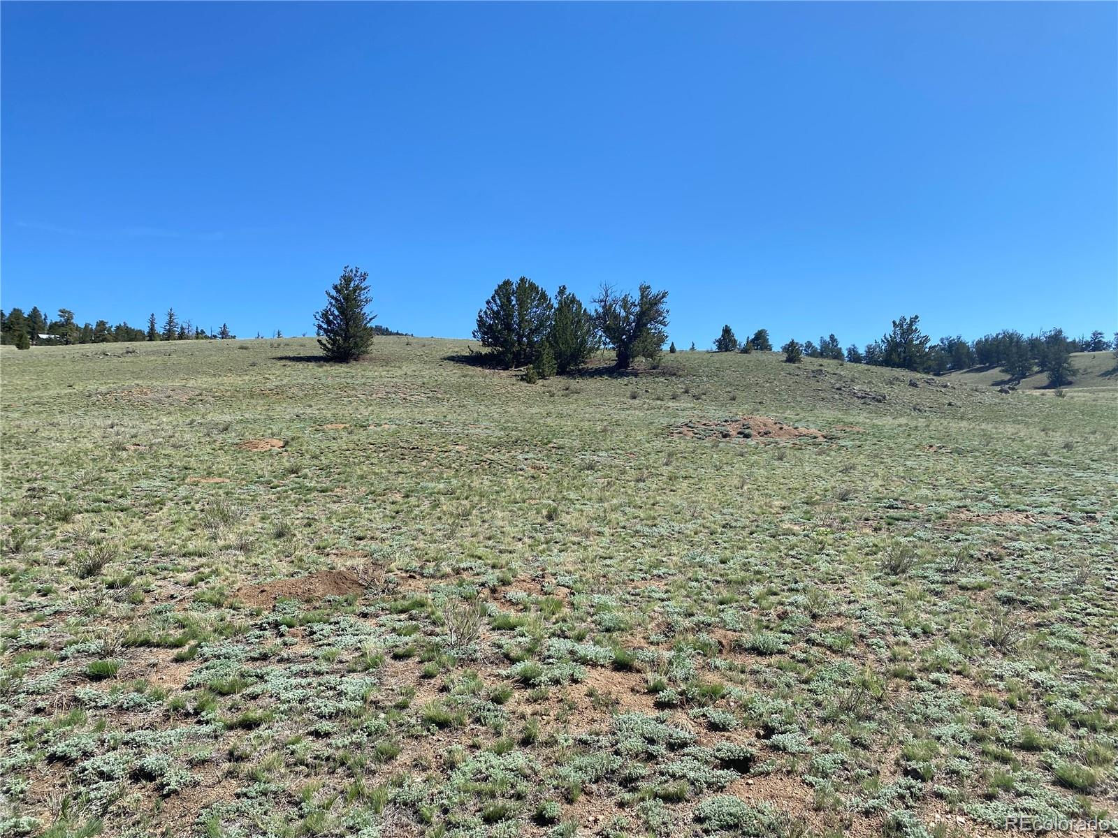 3564 Remington Road Como, CO 80456 - Photo 3 of 18 Gallery Image 3