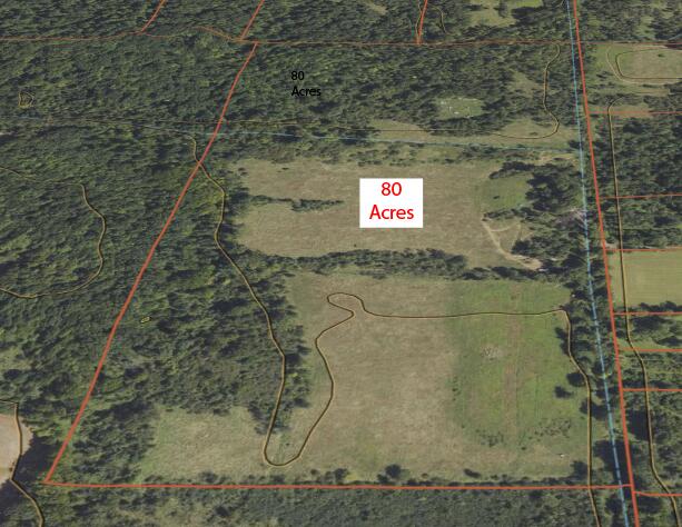 0 Haynes Road Stockbridge, MI 49285 - Photo 1 of 28 80 acres 2