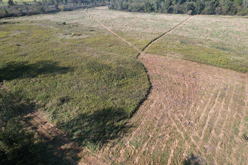 0 Haynes Road Stockbridge, MI 49285 - Photo 11 of 28 DJI_0125