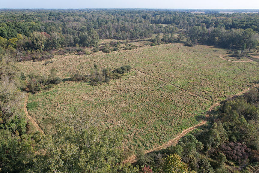 0 Haynes Road Stockbridge, MI 49285 - Photo 13 of 28 DJI_0134