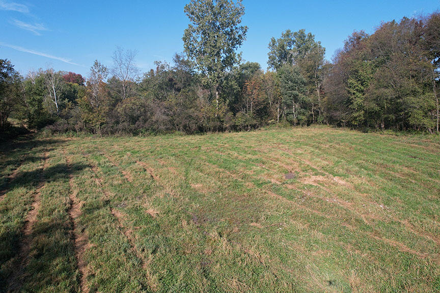0 Haynes Road Stockbridge, MI 49285 - Photo 20 of 28 DJI_0140