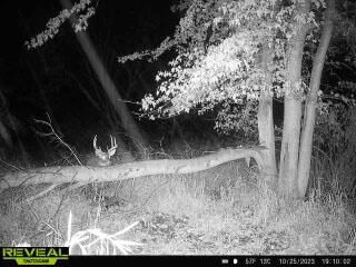0 Haynes Road Stockbridge, MI 49285 - Photo 25 of 28 Haynes Rd Buck 1