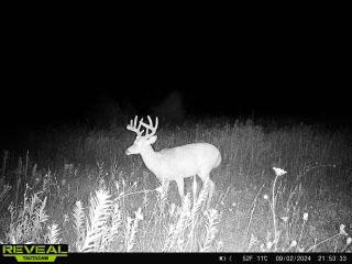 0 Haynes Road Stockbridge, MI 49285 - Photo 26 of 28 Haynes Rd Buck 2