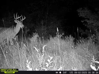 0 Haynes Road Stockbridge, MI 49285 - Photo 27 of 28 Haynes Rd Buck 4