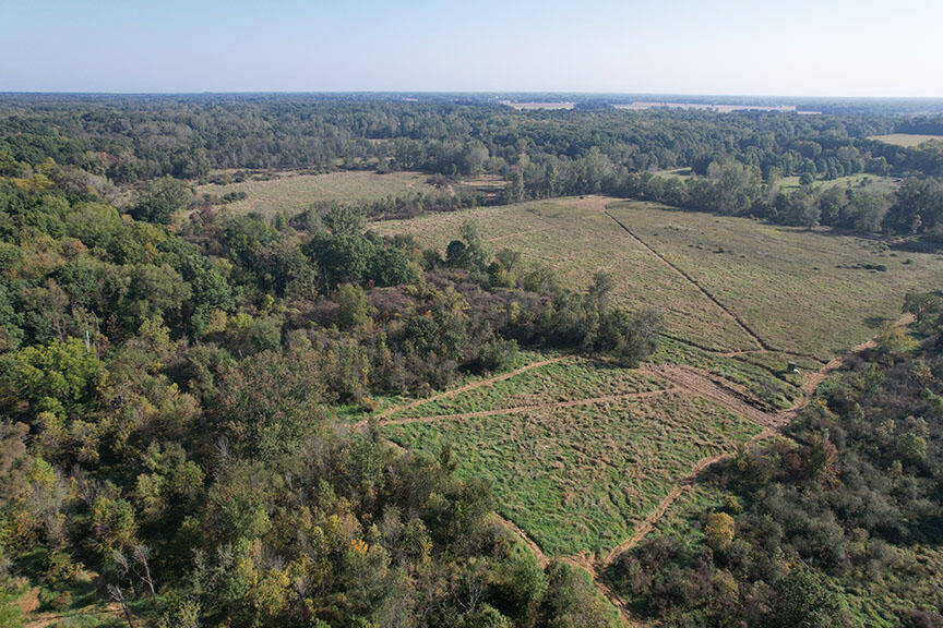 0 Haynes Road Stockbridge, MI 49285 - Photo 6 of 28 DJI_0128