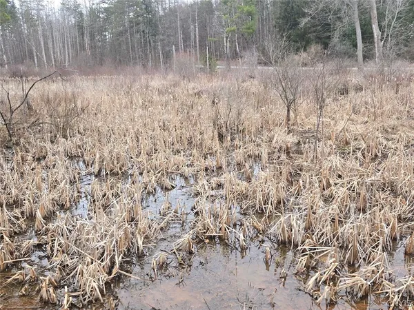 $50,000 | Hardys Road, Gainesville, NY 14066