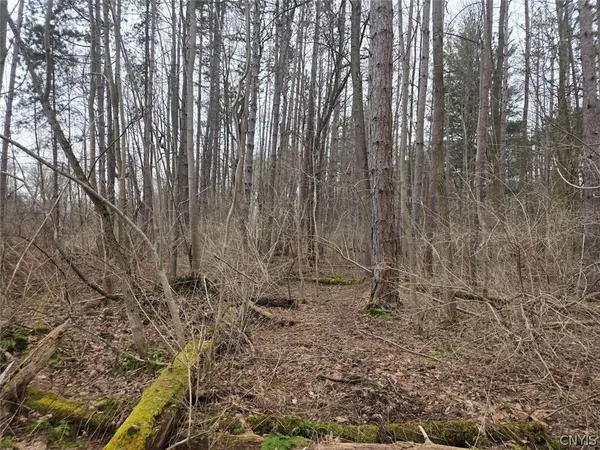 $50,000 | Hardys Road, Gainesville, NY 14066
