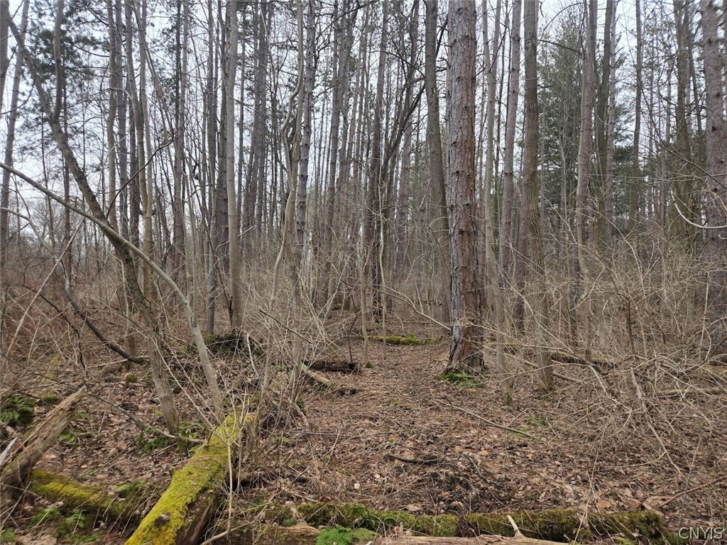 Hardys Road Gainesville, NY 14066 - Photo 11 of 19