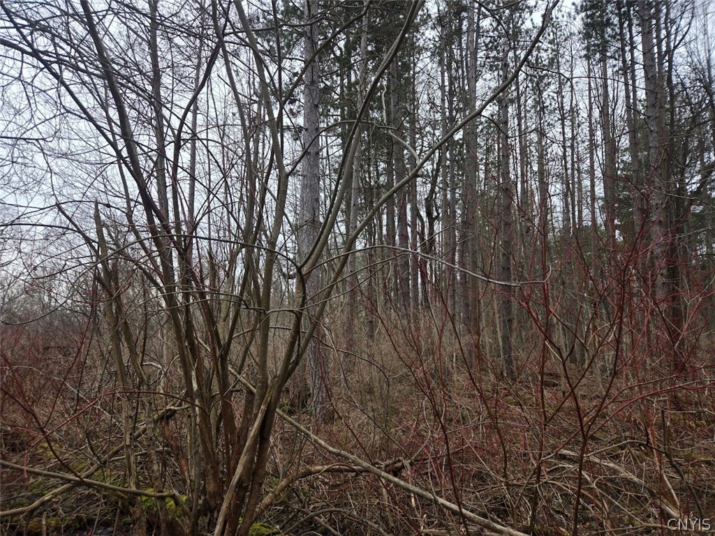 Hardys Road Gainesville, NY 14066 - Photo 12 of 19