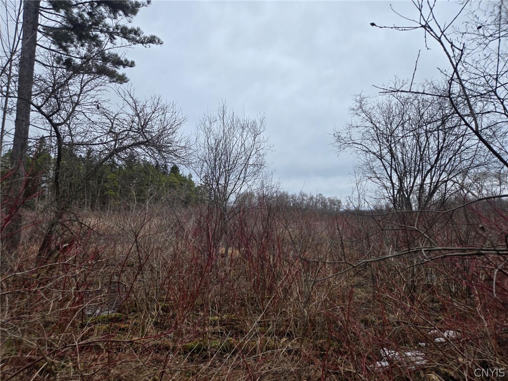 Hardys Road Gainesville, NY 14066 - Photo 13 of 19