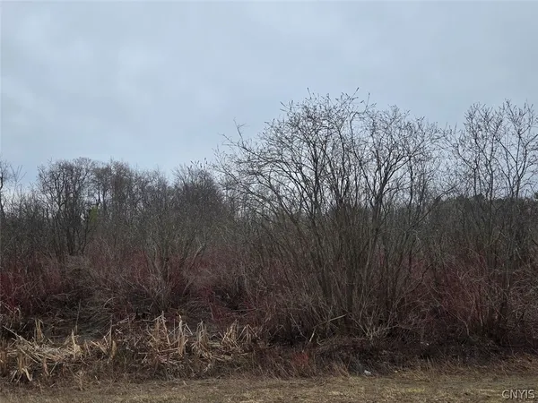 $50,000 | Hardys Road, Gainesville, NY 14066